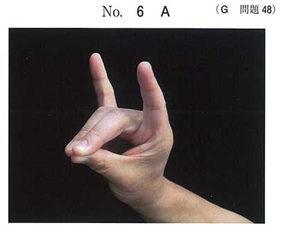 110G-48A